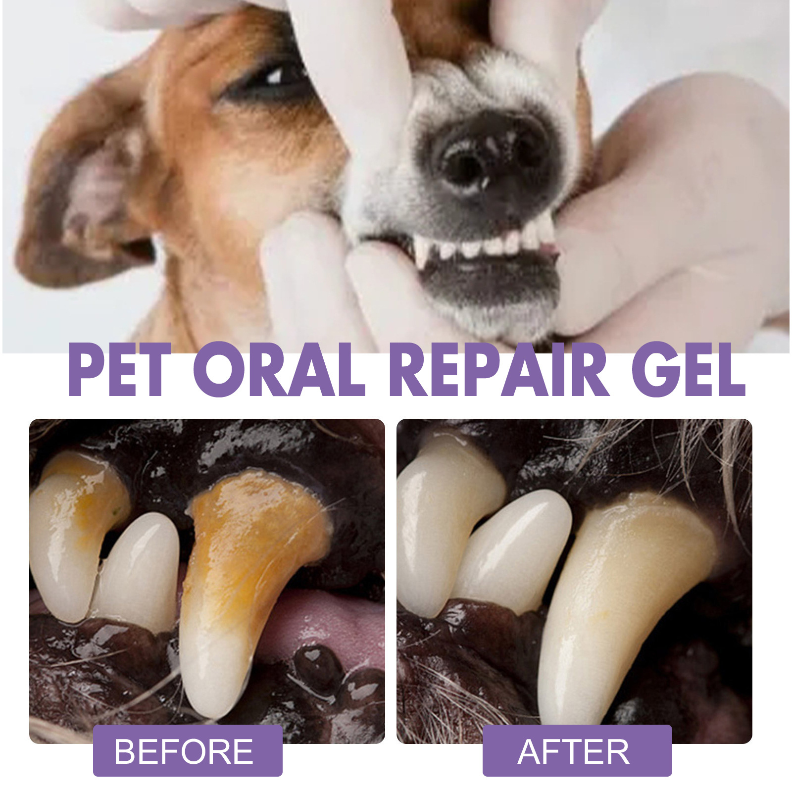 Gel de reparação oral para ani - Teeth Whitening Before And After avaliação e preço